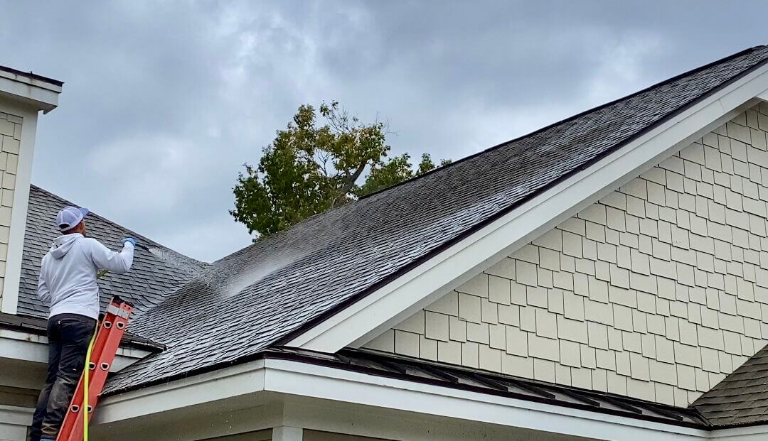 Why Do Insurance Companies Require Roof Cleaning?